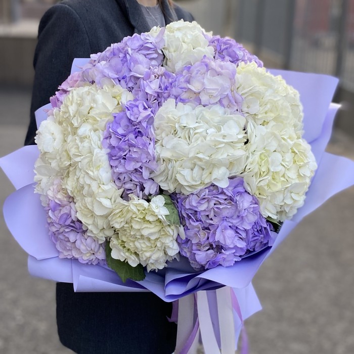 15 лавандовых и белых гортензий