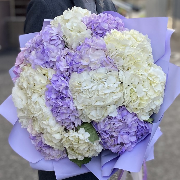 15 лавандовых и белых гортензий