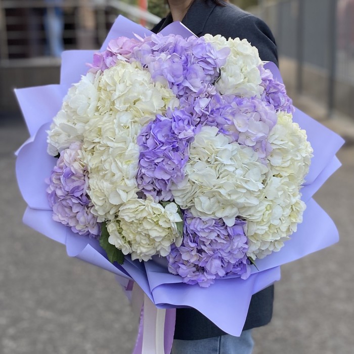 15 лавандовых и белых гортензий