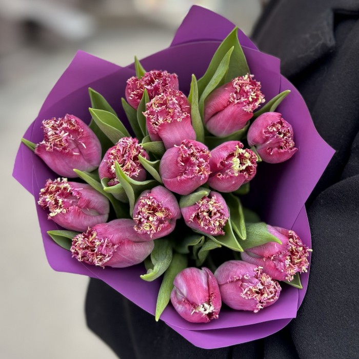15 махровых темно-розовых тюльпанов в упаковке