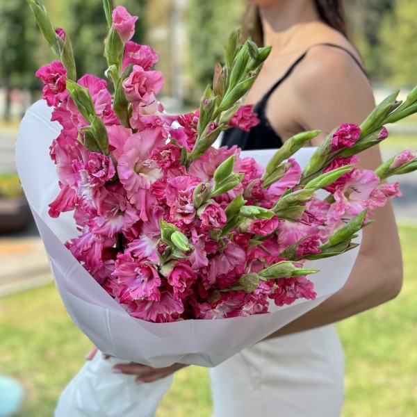 15 малиновых гладиолусов
