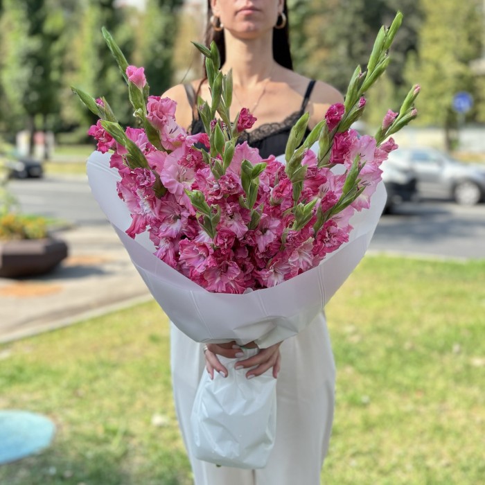 15 малиновых гладиолусов