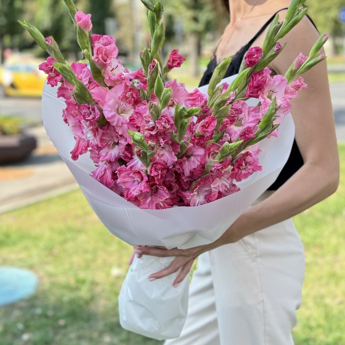 15 малиновых гладиолусов