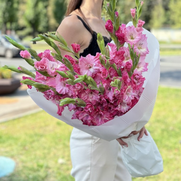 15 малиновых гладиолусов