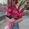 15 малиновых гладиолусов в упаковке