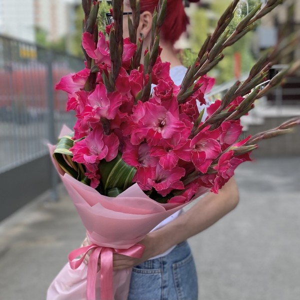 15 малиновых гладиолусов в упаковке