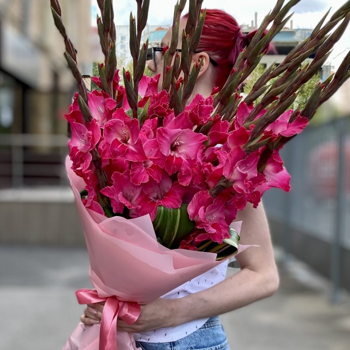 15 малиновых гладиолусов в упаковке