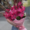 15 малиновых гладиолусов в упаковке