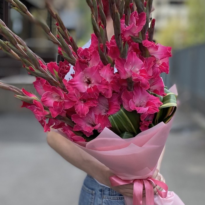 15 малиновых гладиолусов в упаковке