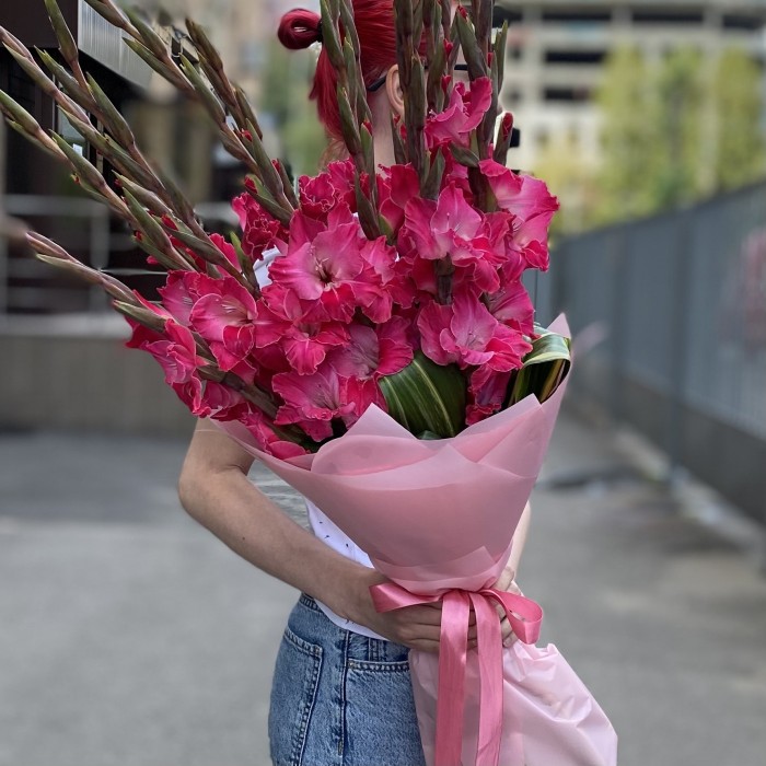15 малиновых гладиолусов в упаковке