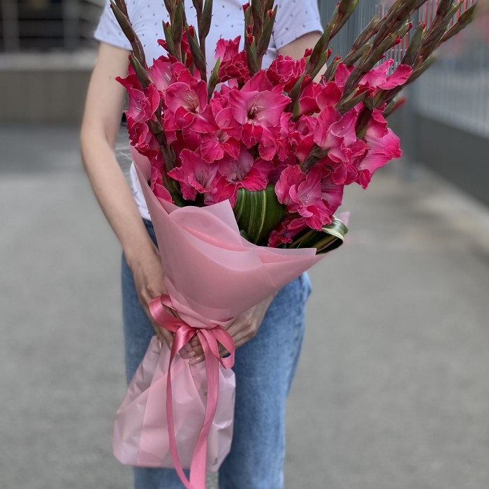 15 малиновых гладиолусов в упаковке