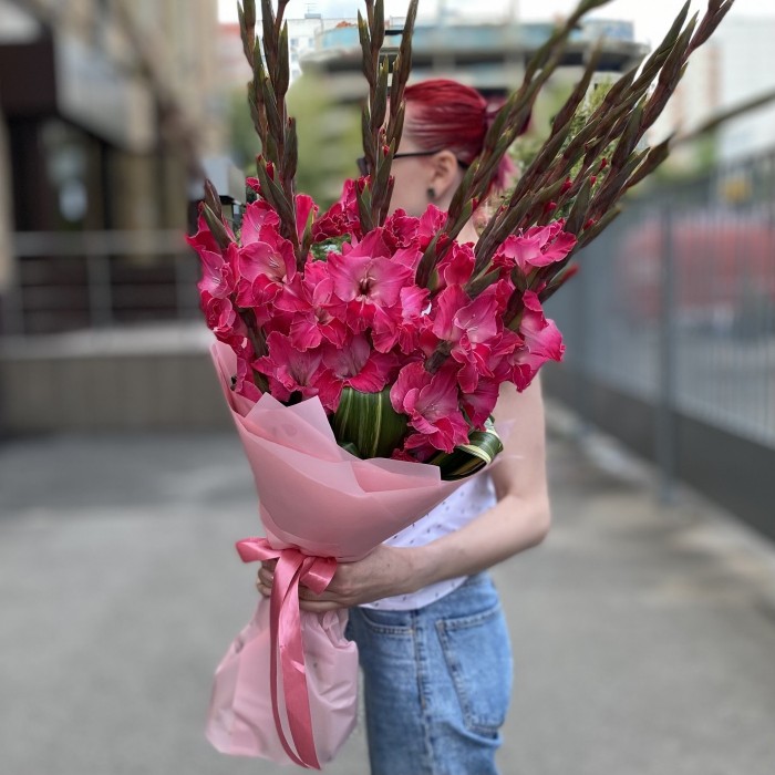 15 малиновых гладиолусов в упаковке