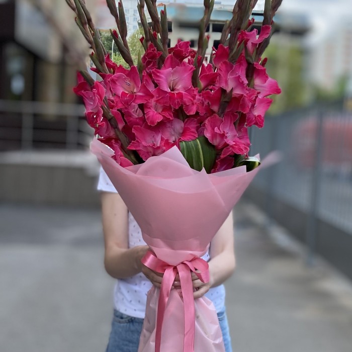 15 малиновых гладиолусов в упаковке