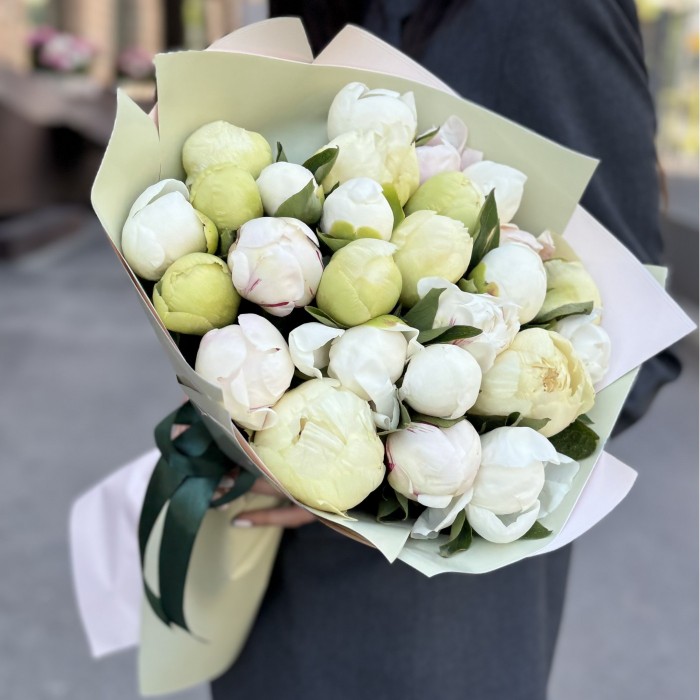 25 нежных пионов в упаковке