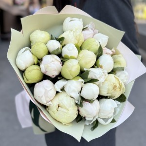 25 нежных пионов в упаковке