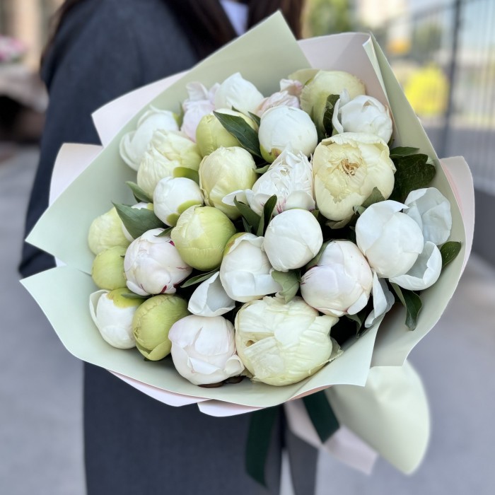 25 нежных пионов в упаковке