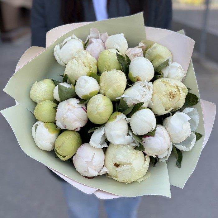 25 нежных пионов в упаковке