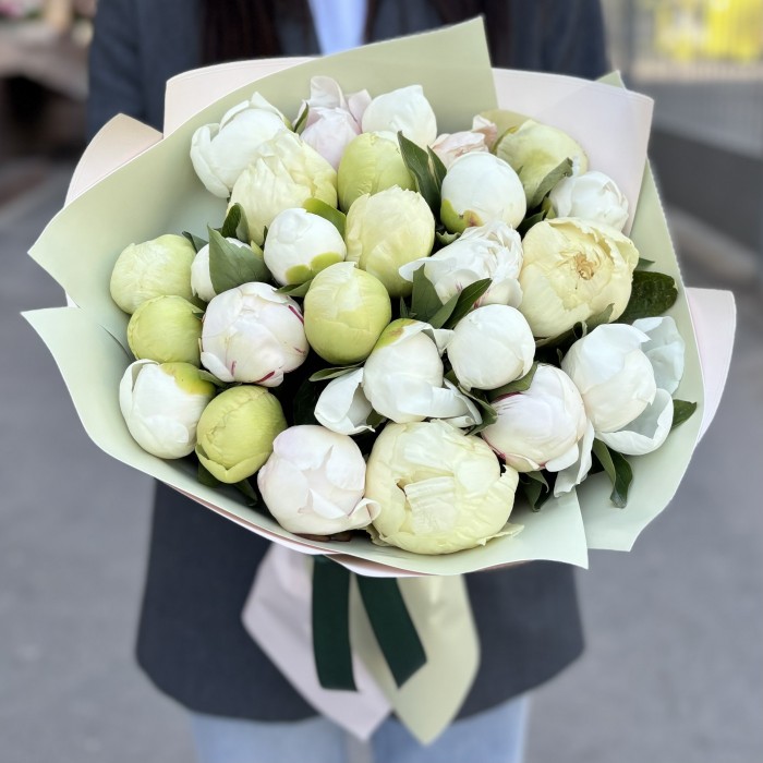 25 нежных пионов в упаковке