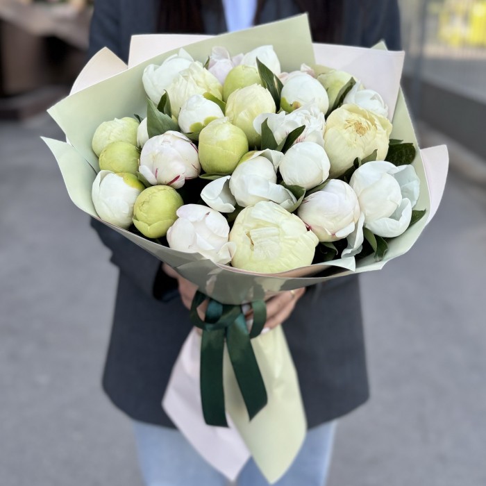 25 нежных пионов в упаковке