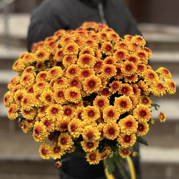 Оранжевая сантини Помпон