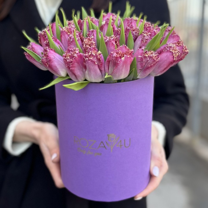 35 махровых темно-розовых тюльпанов в коробке