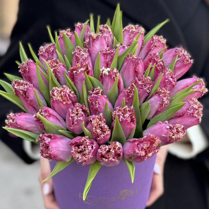 35 махровых темно-розовых тюльпанов в коробке