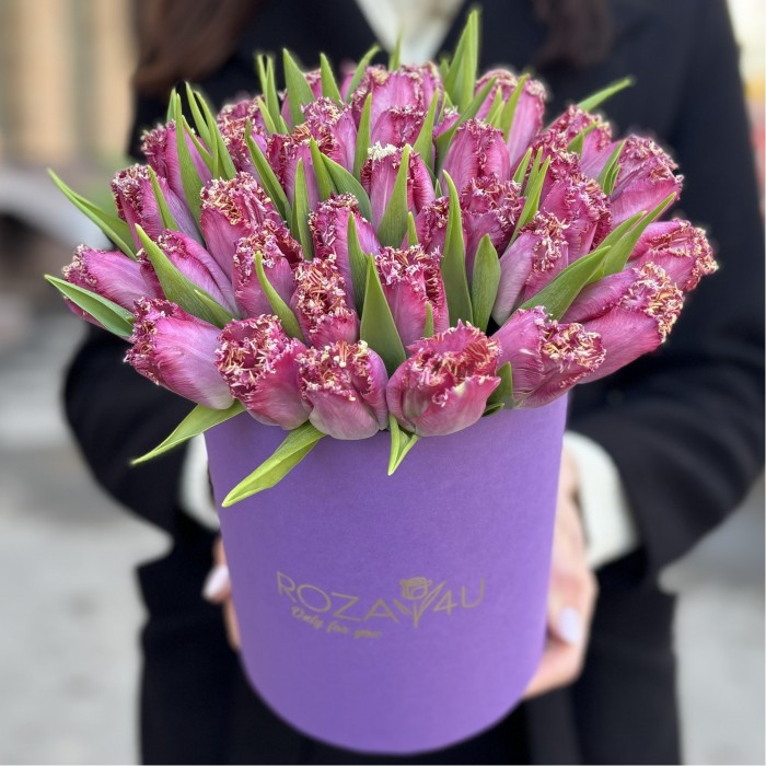 35 махровых темно-розовых тюльпанов в коробке