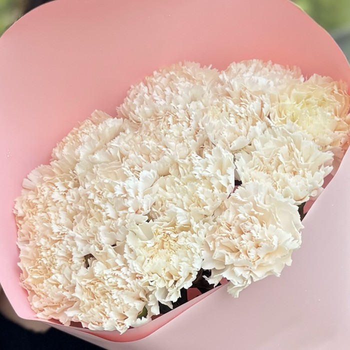 15 персиковых гвоздик Эппл Ти