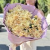 15 персиковых кустовых хризантем Балтика