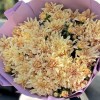 15 персиковых кустовых хризантем Балтика