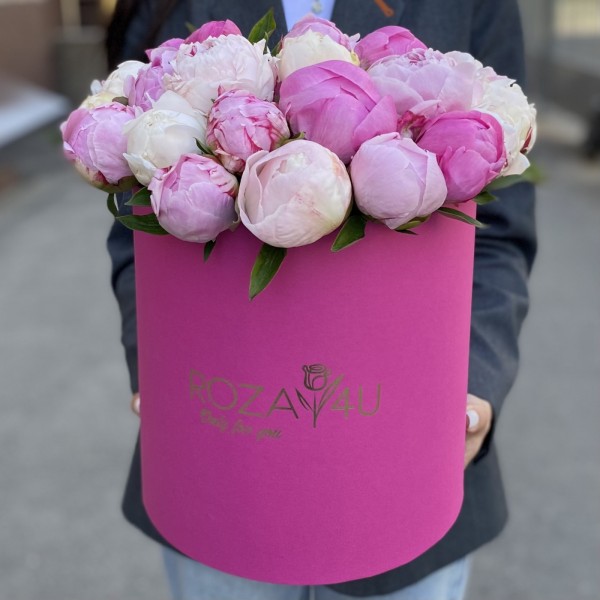 25 пионов Микс в коробке