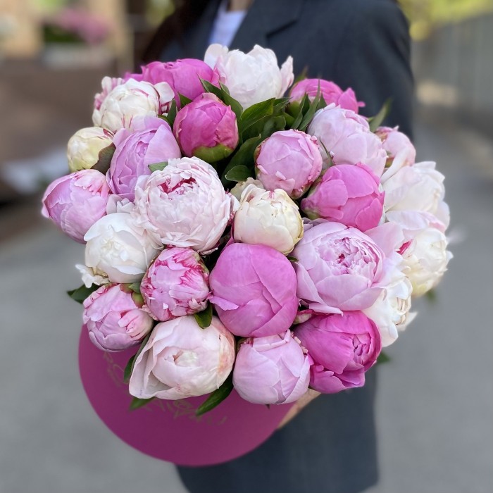 25 пионов Микс в коробке