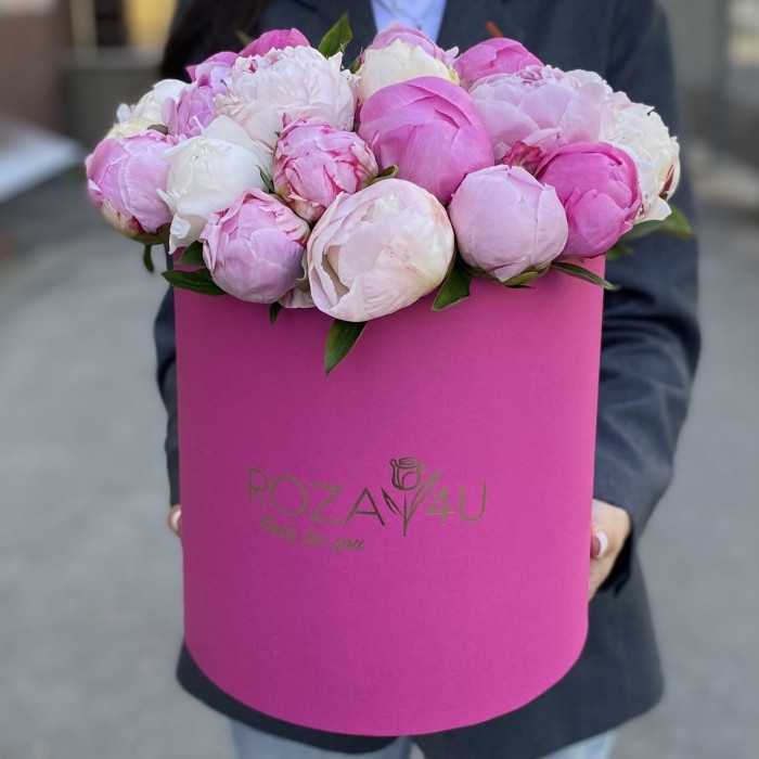 25 пионов Микс в коробке