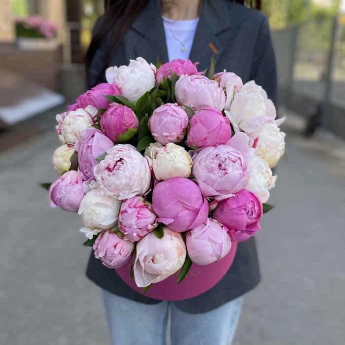 25 пионов Микс в коробке