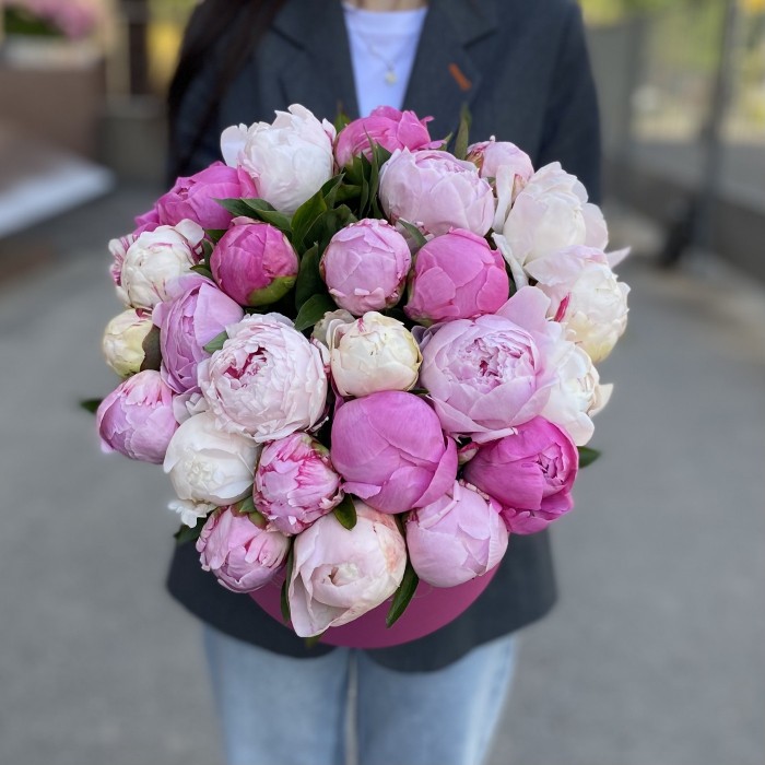 25 пионов Микс в коробке