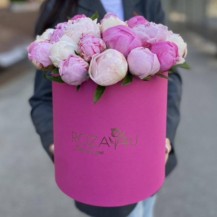 25 пионов Микс в коробке