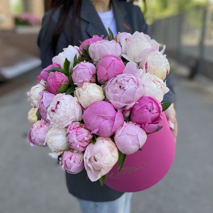 25 пионов Микс в коробке