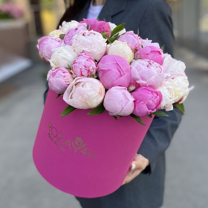 25 пионов Микс в коробке