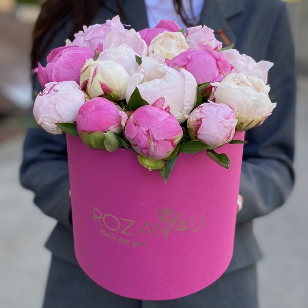 15 пионов Микс в коробке