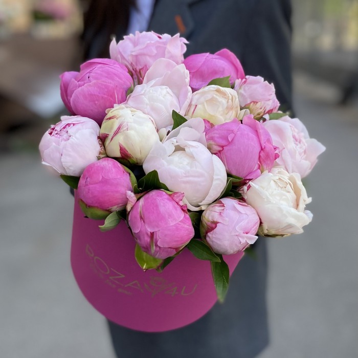 15 пионов Микс в коробке