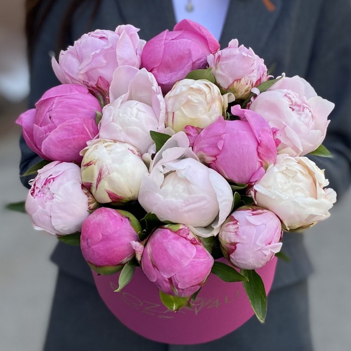 15 пионов Микс в коробке