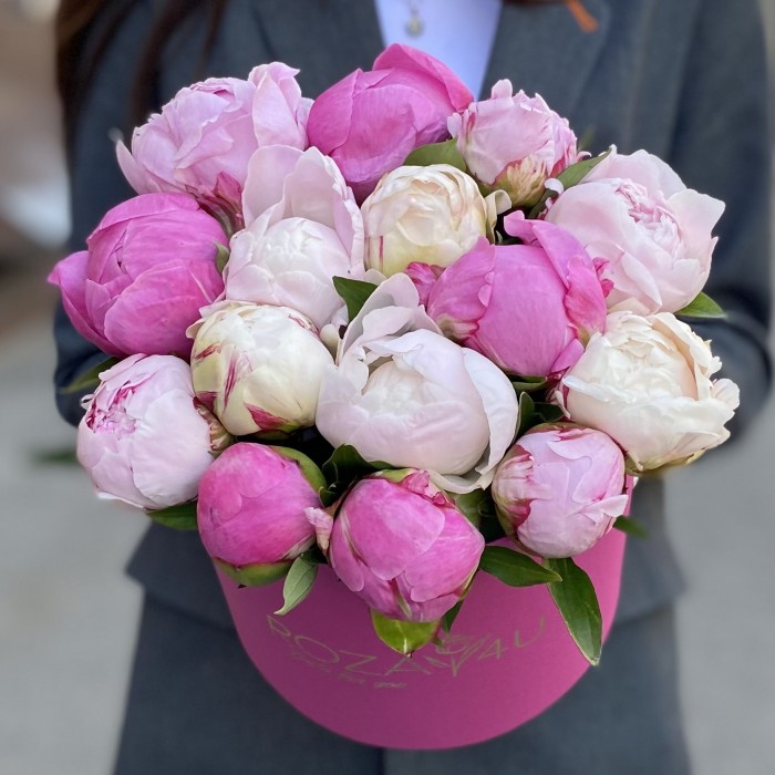 15 пионов Микс в коробке