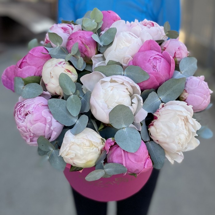 15 пионов Нежный микс в коробке