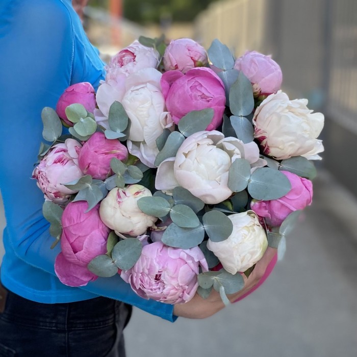 15 пионов Нежный микс в коробке