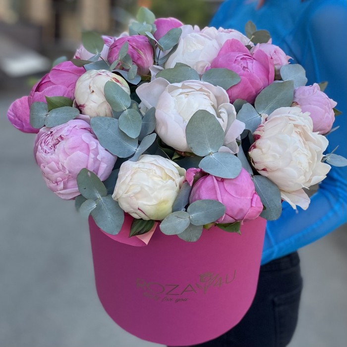 15 пионов Нежный микс в коробке