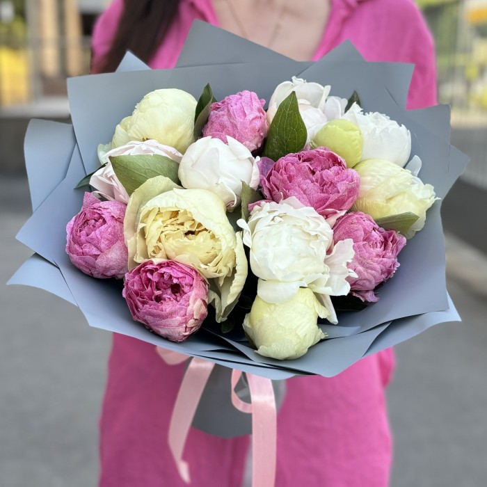 15 пионов ароматный микс в упаковке