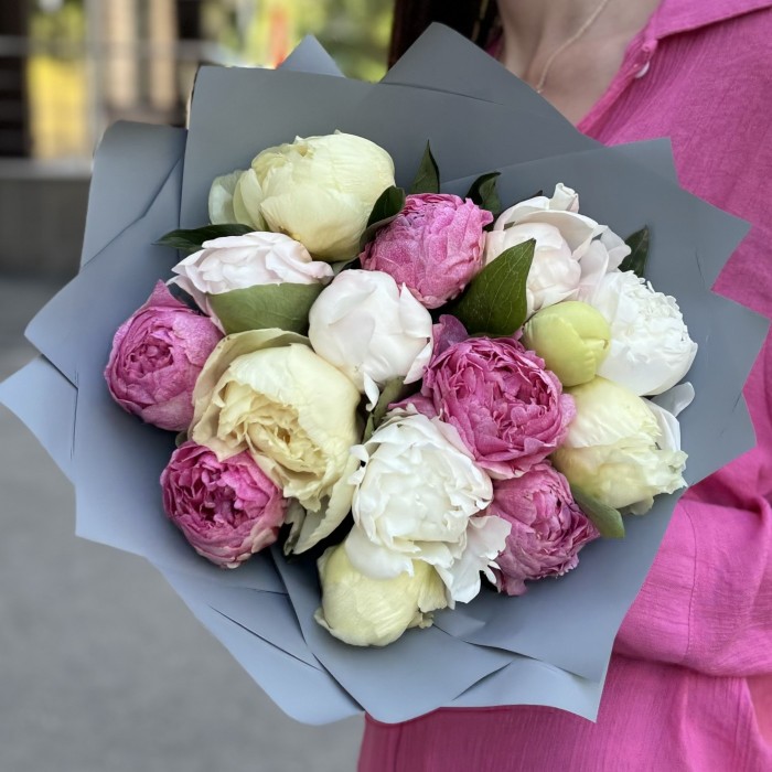 15 пионов ароматный микс в упаковке