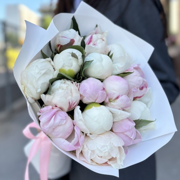 15 пионов микс в упаковке