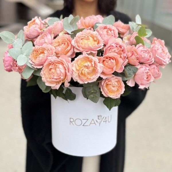 15 пионовидных кустовых роз Джульетта в коробке