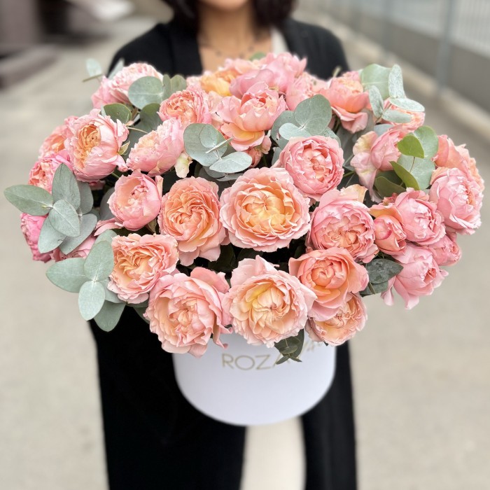 15 пионовидных кустовых роз Джульетта в коробке